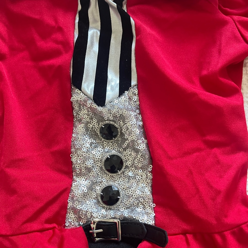 Circus Ringmaster “Greatest Showman” Costume - Picture 5 of 13